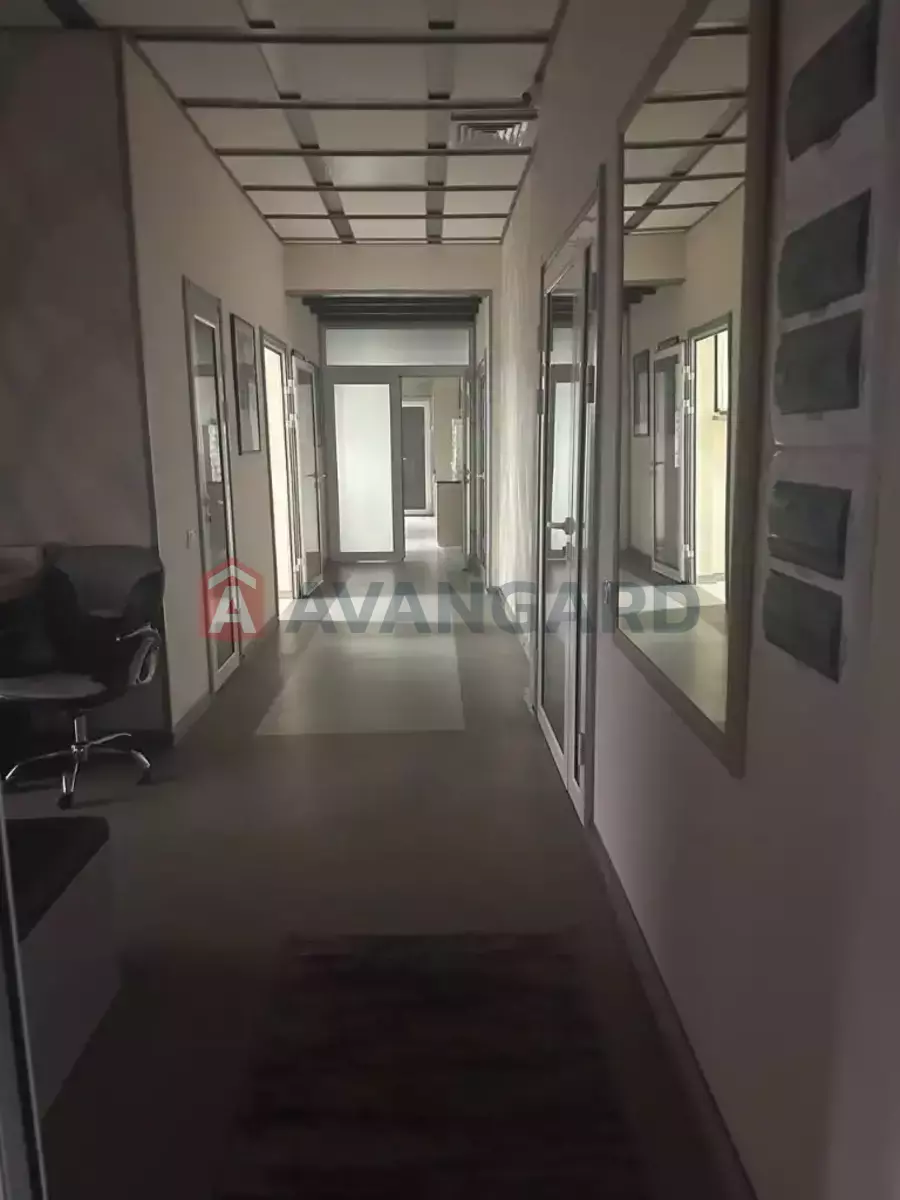 ������ ������ ������, 1700 ��.�. ���� 11