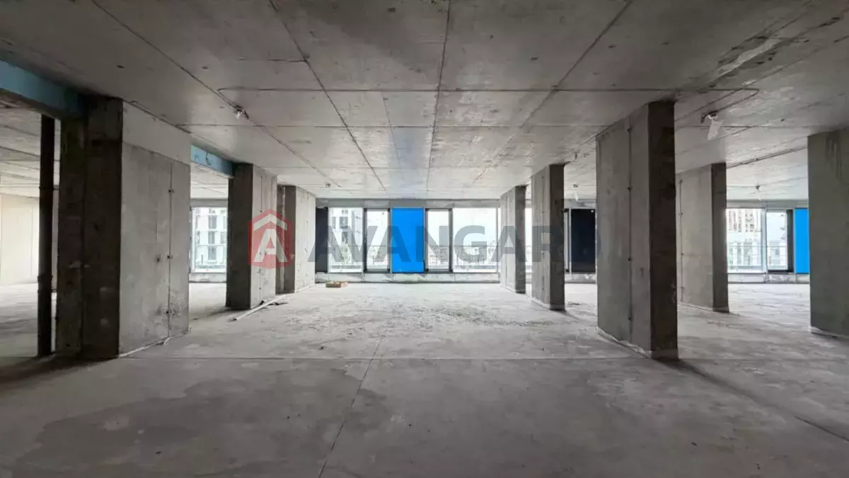 146 ��.�. ���� 3