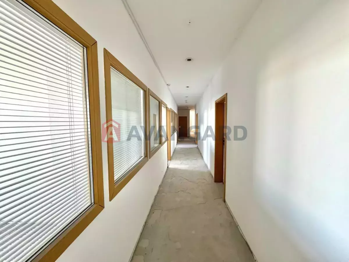 1147 ��.�. ���� 9