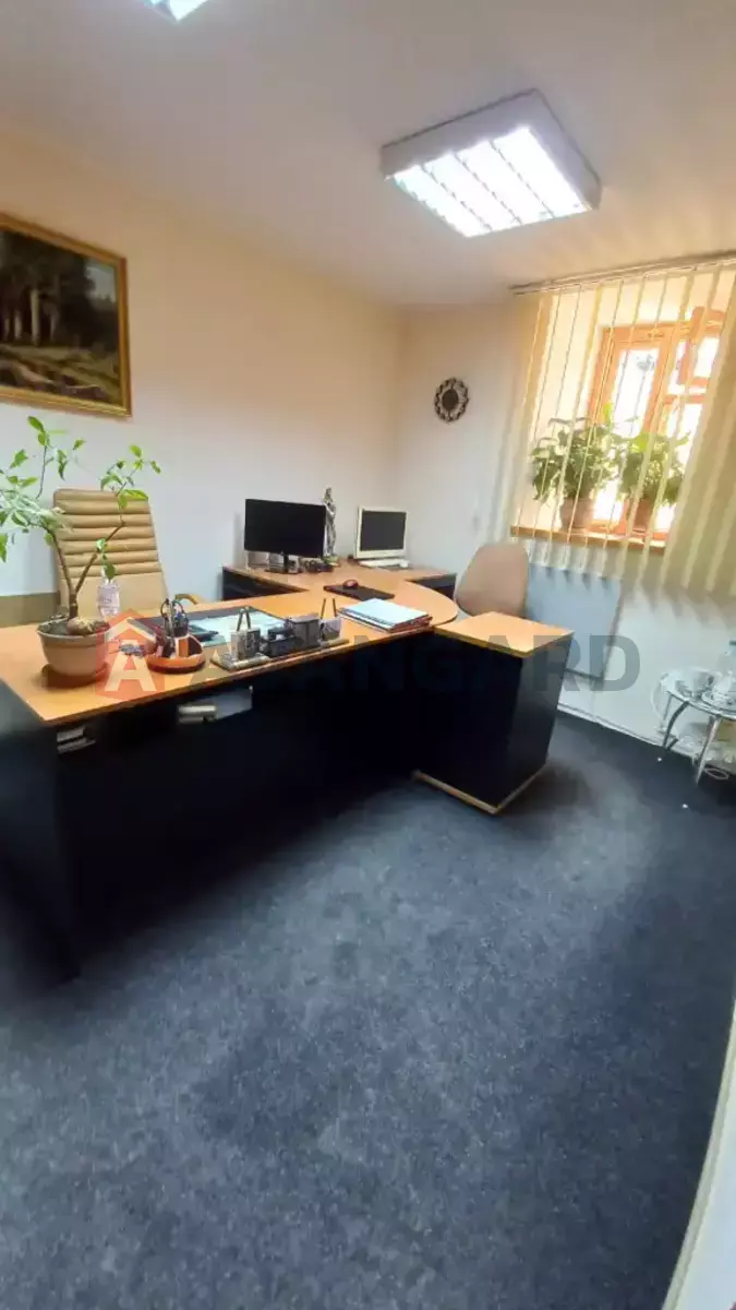 55 ��.�. ���� 3