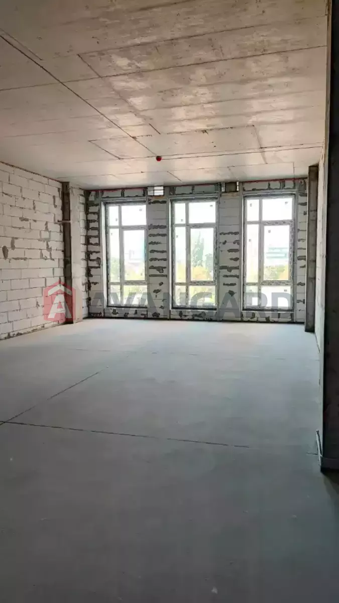 62 ��.�. ���� 1