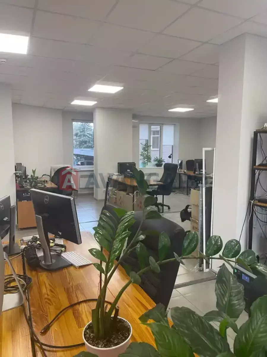 155 ��.�. ���� 4