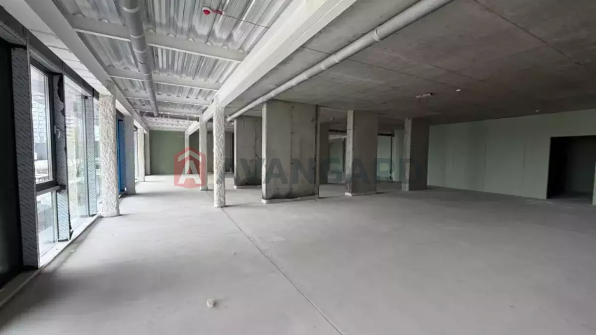 377 ��.�. ���� 7