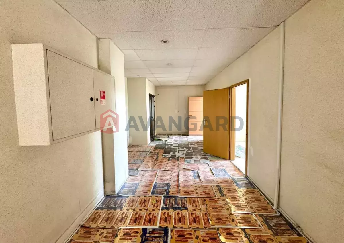 1147 ��.�. ���� 11