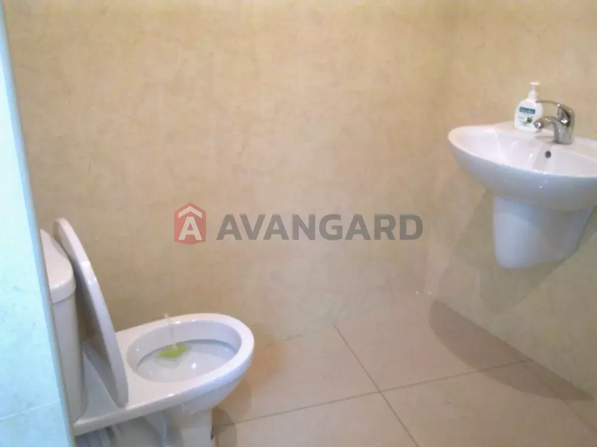 67 ��.�. ���� 3