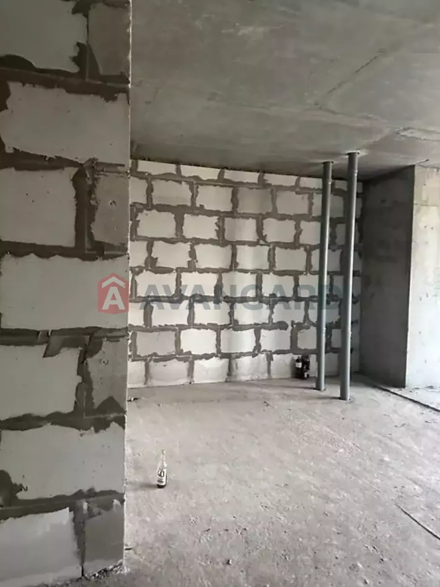 71 ��.�. ���� 2
