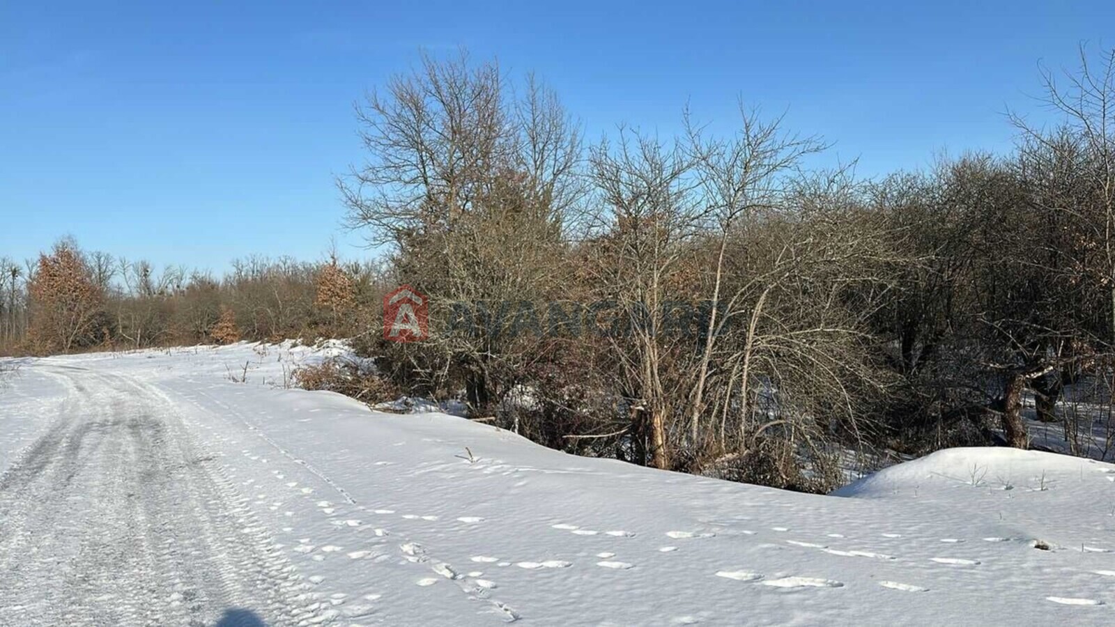 Земельна ділянка фото 5 Земельна ділянка фото 5