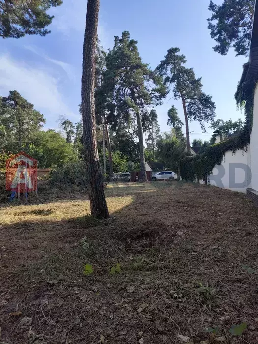 �������� ������ ���� 6