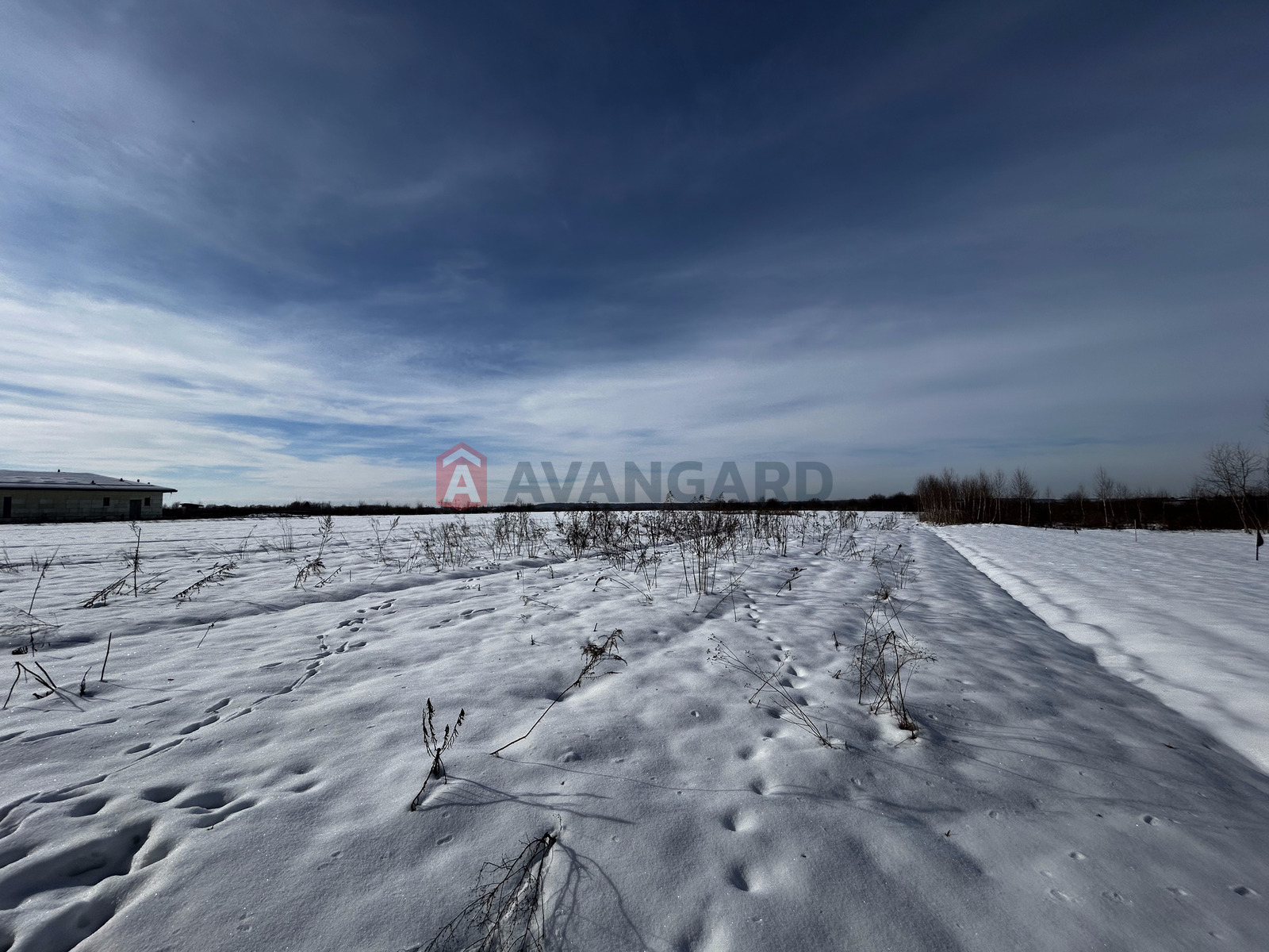 �������� ������ ���� 8