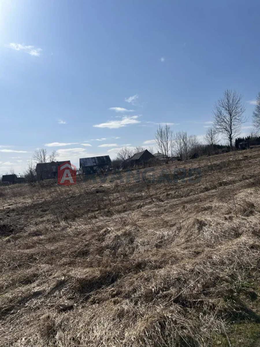 �������� ������ ���� 6