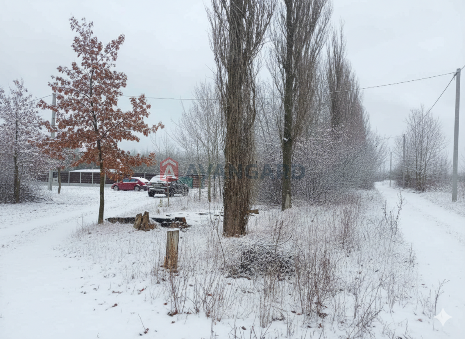 �������� ������ ���� 8