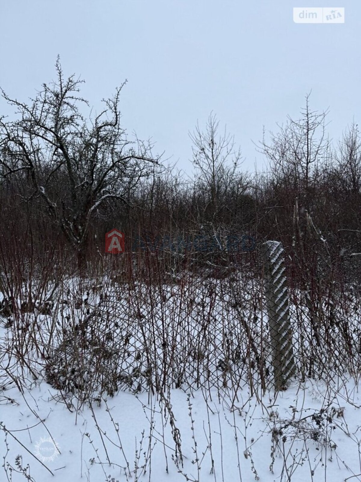 �������� ������ ���� 5