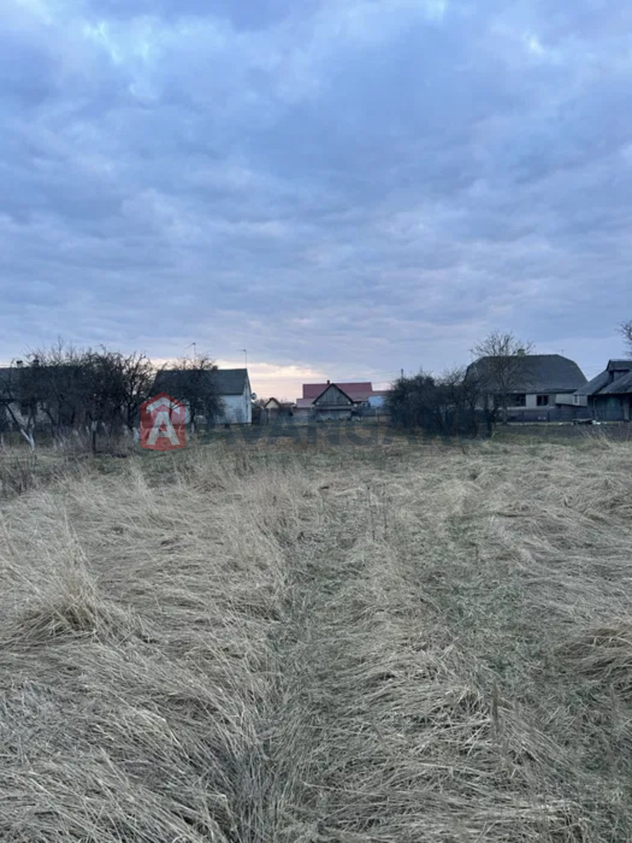 �������� ������ ���� 1