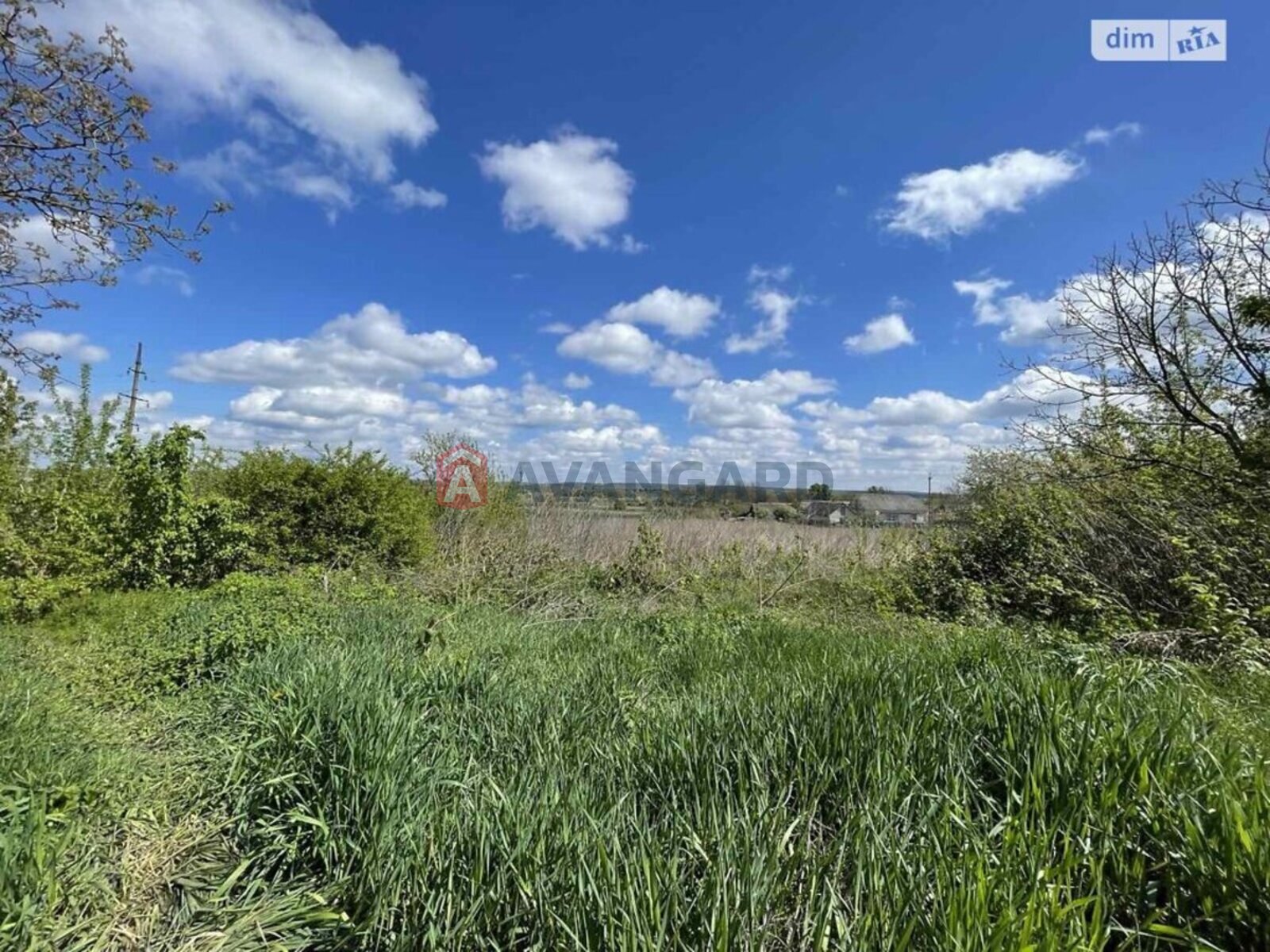 �������� ������ ���� 1