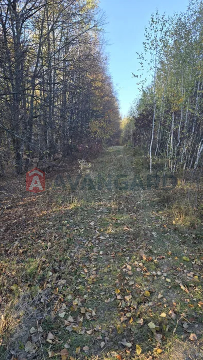 �������� ������ ���� 5