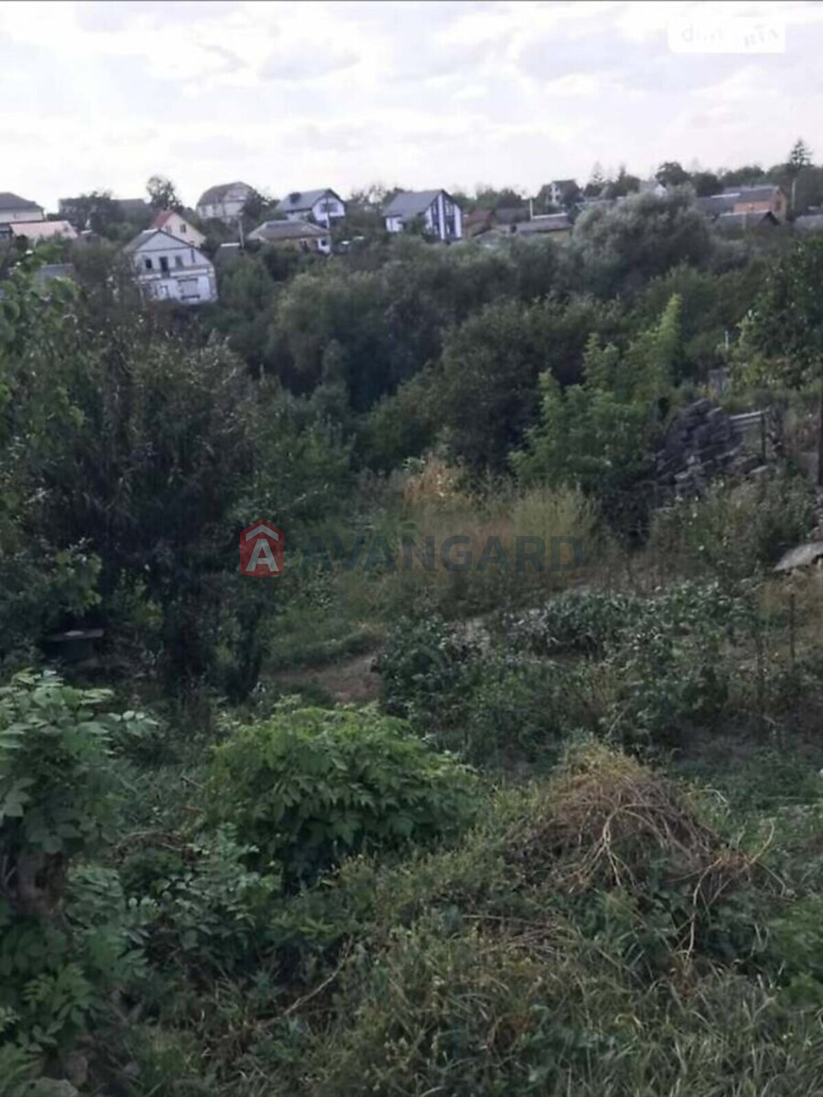 �������� ������ ���� 1