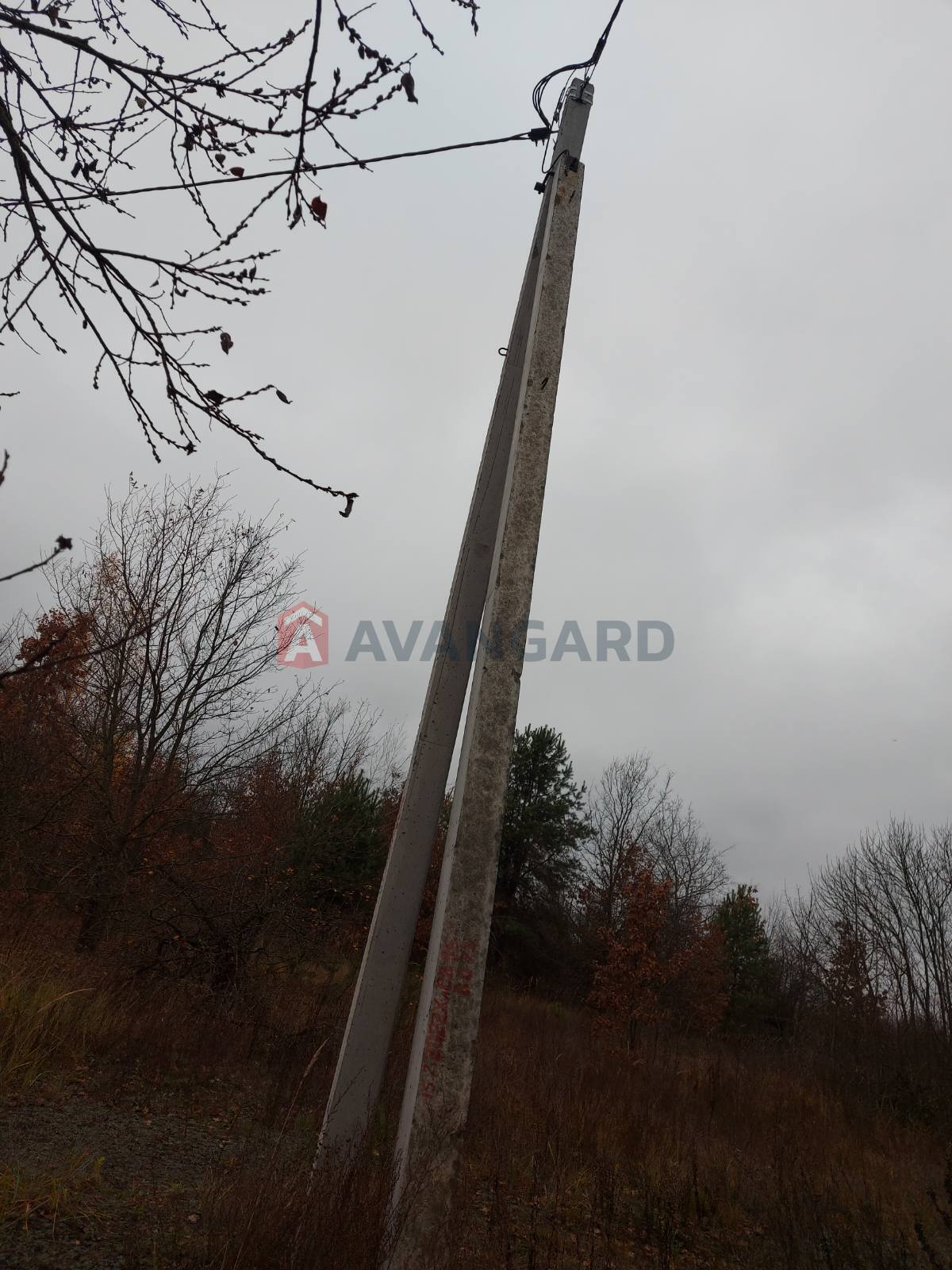 �������� ������ ���� 7