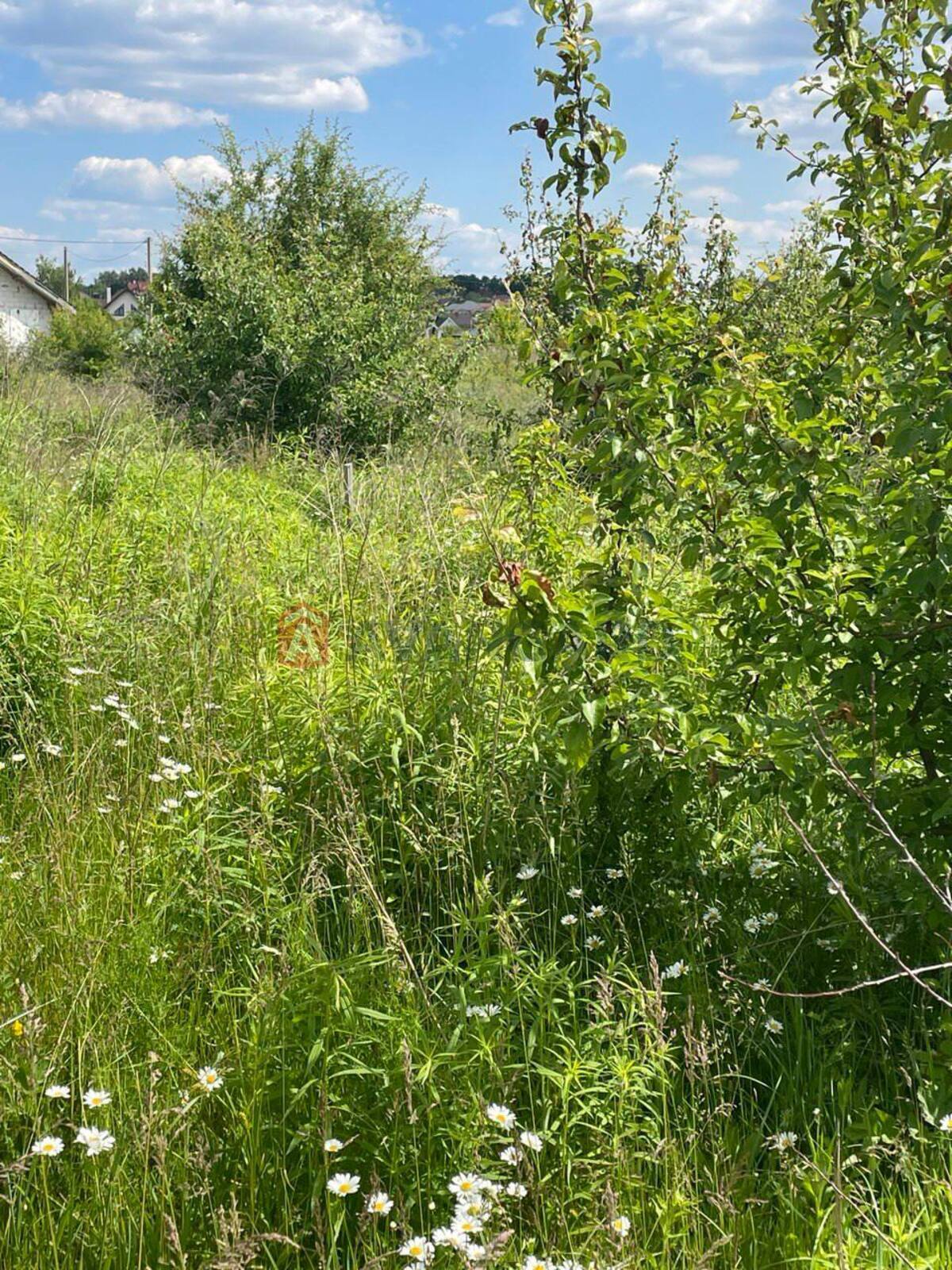 �������� ������ ���� 4