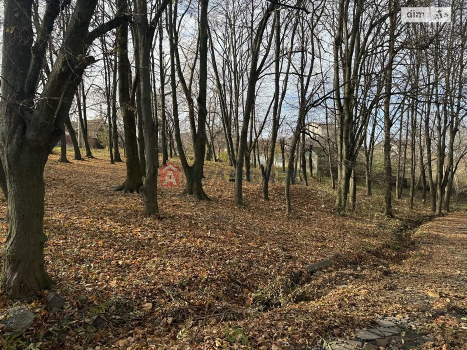 Земельный участок фото 4 Земельный участок фото 4