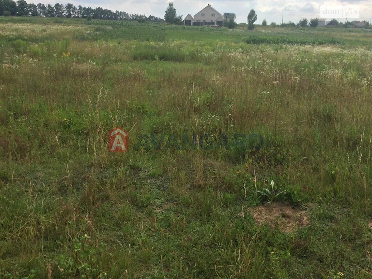 �������� ������ ���� 5