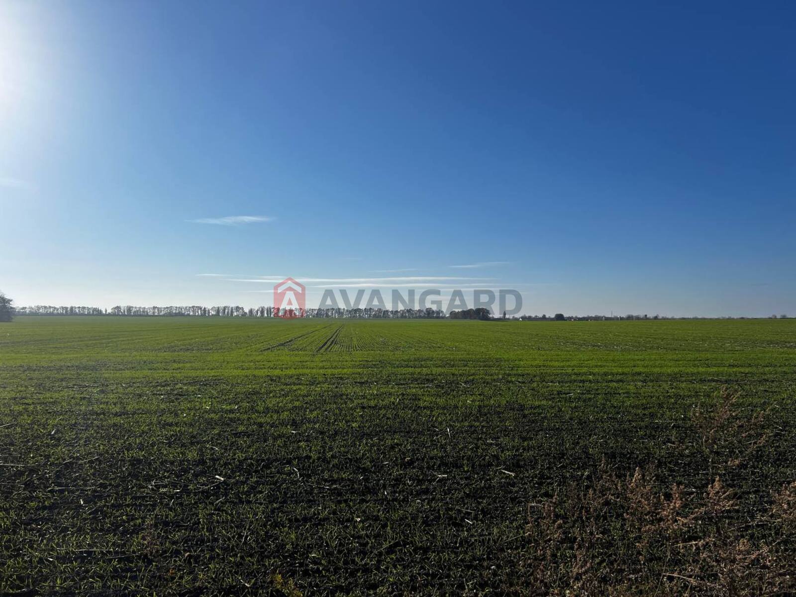 �������� ������ ���� 3