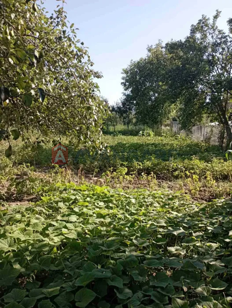 ��������� ������� ���� 9