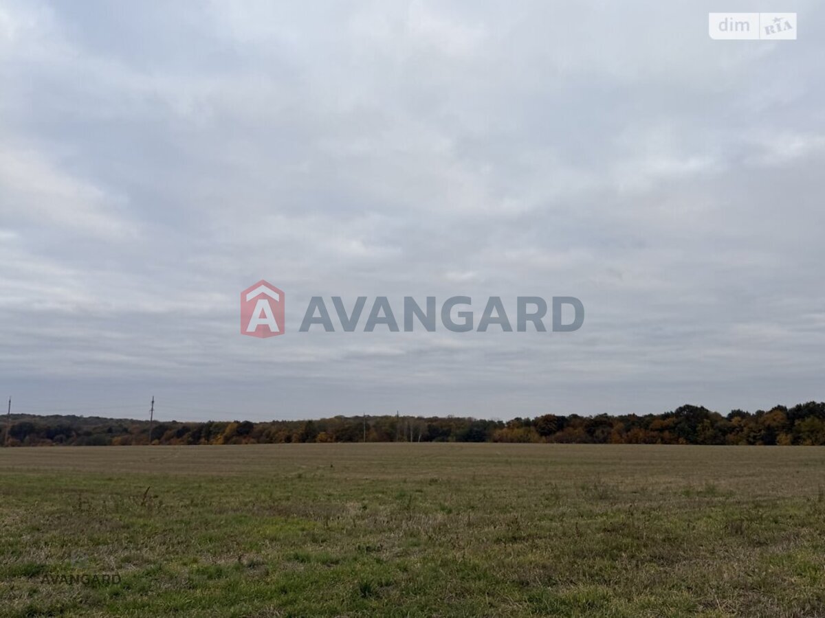 �������� ������ ���� 1