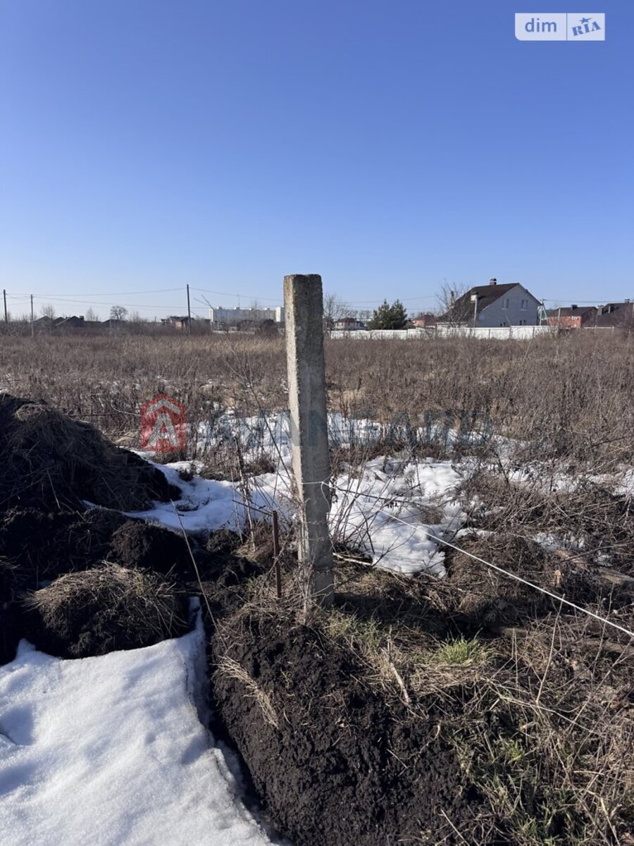 �������� ������ ���� 12