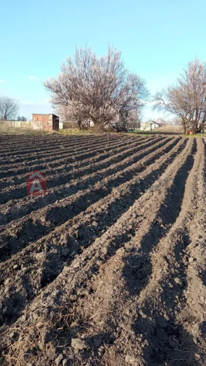 �������� ������ ���� 3