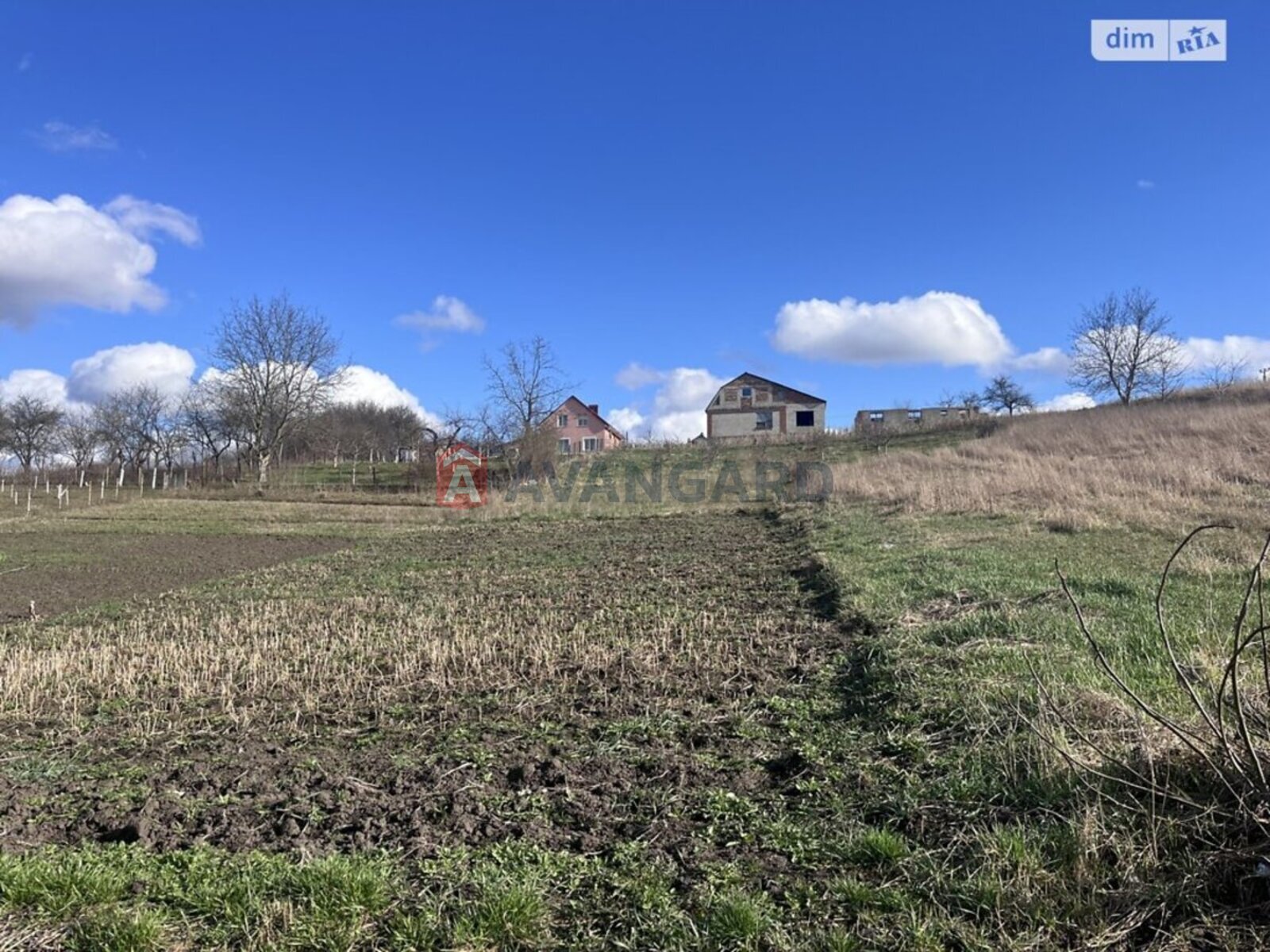 �������� ������ ���� 5