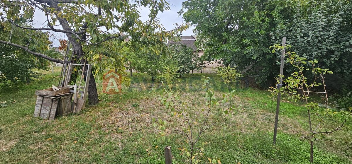 �������� ������ ���� 1