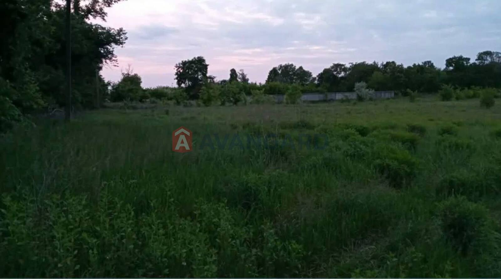 �������� ������ ���� 1