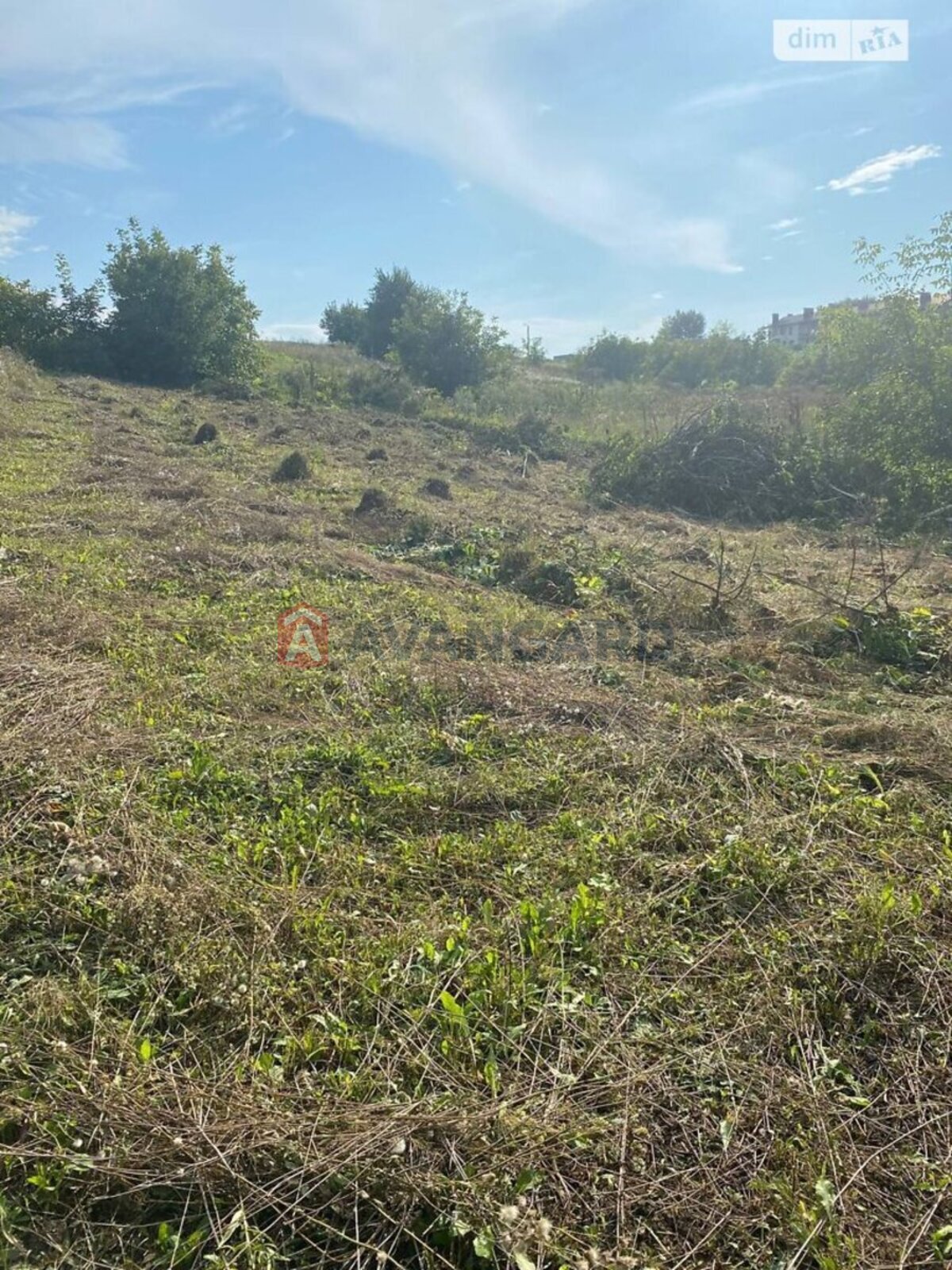 �������� ������ ���� 4