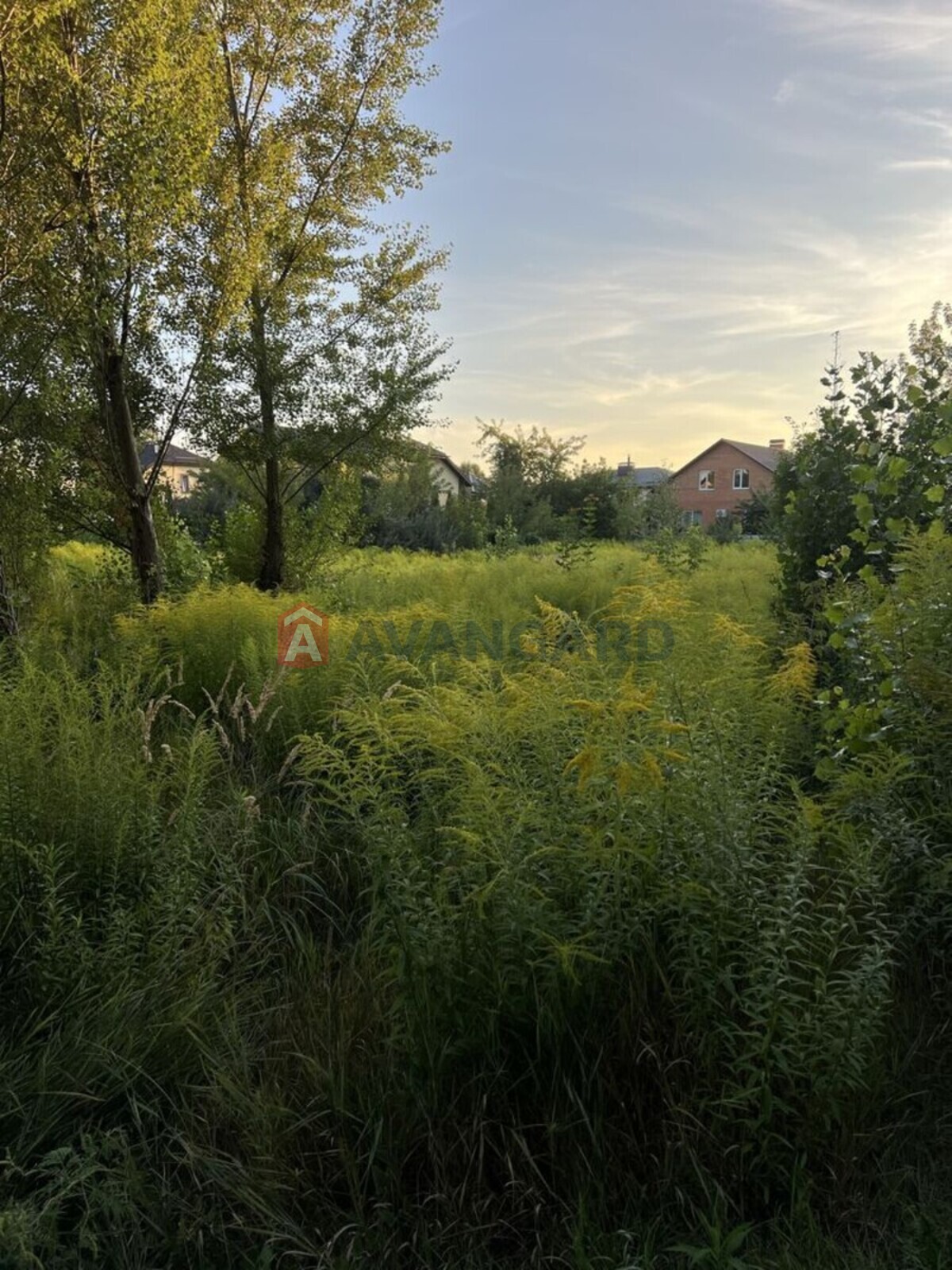Земельна ділянка фото 4 Земельна ділянка фото 4
