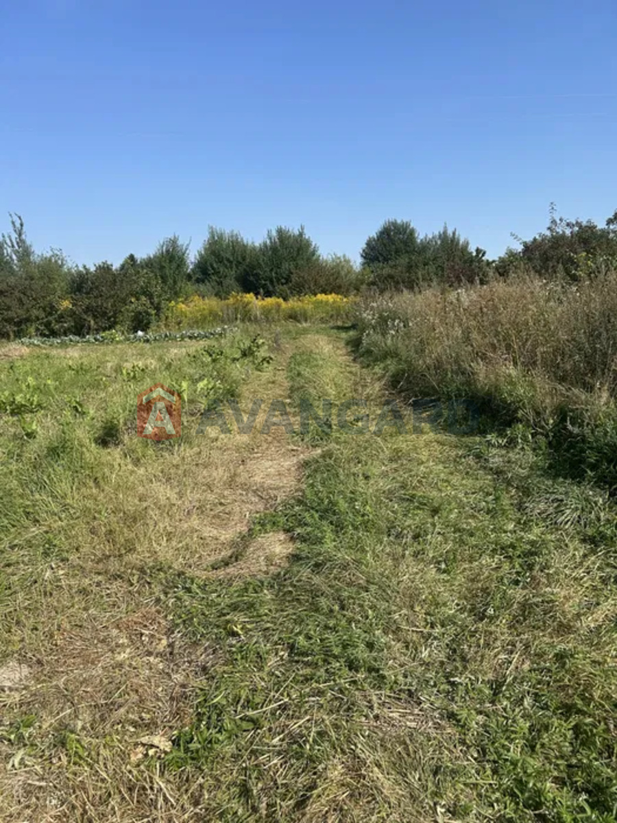 �������� ������ ���� 3