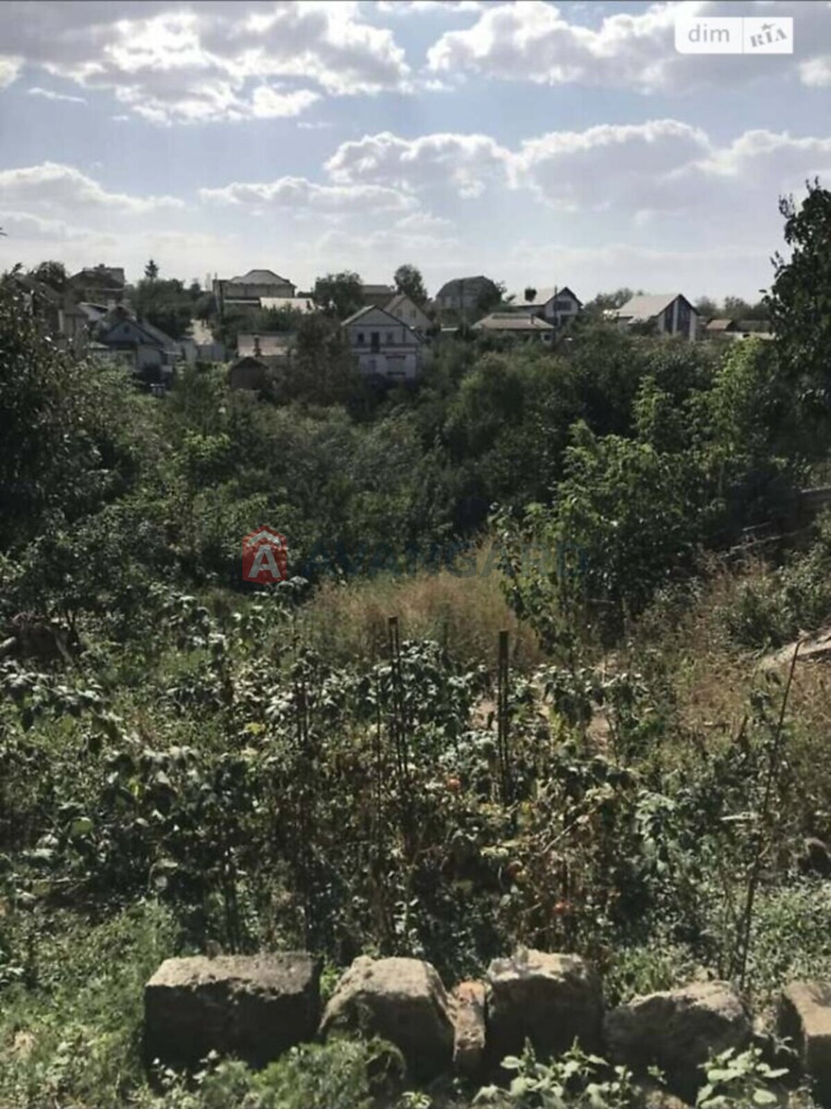 �������� ������ ���� 11