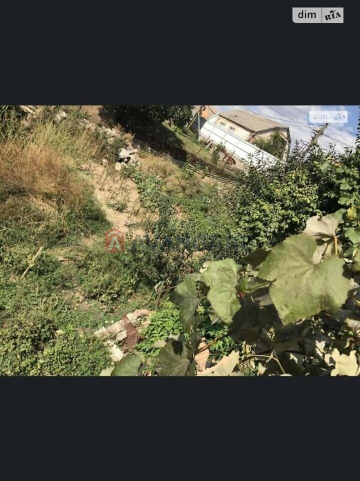 �������� ������ ���� 17