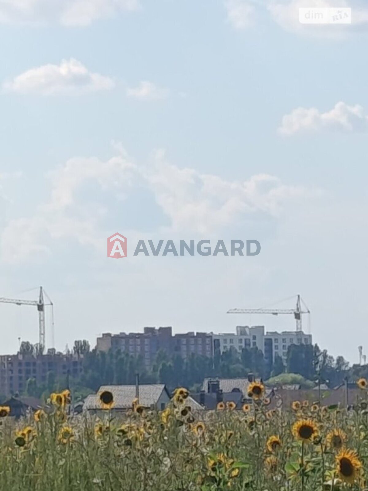 Земельна ділянка фото 3 Земельна ділянка фото 3