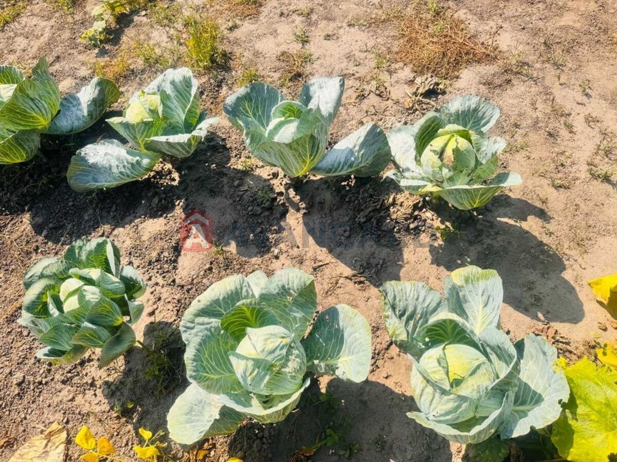 ��������� ������� ���� 6