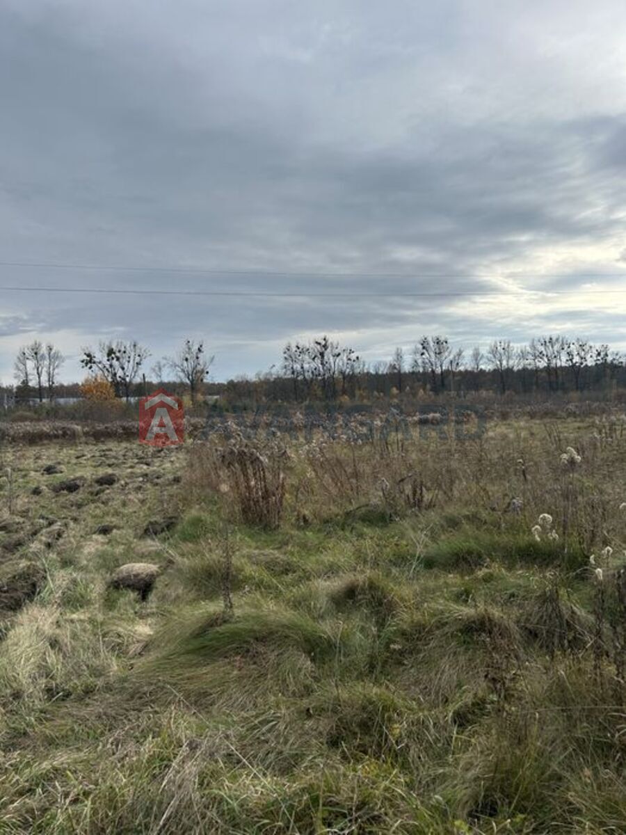 ��������� ������� ���� 1