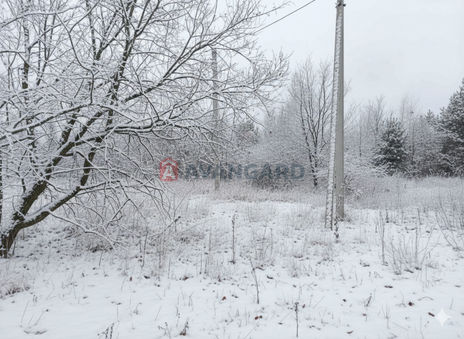 �������� ������ ���� 1