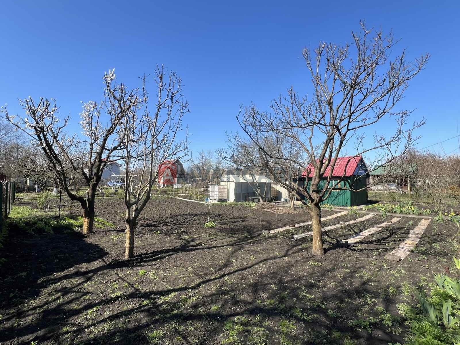 �������� ������ ���� 11