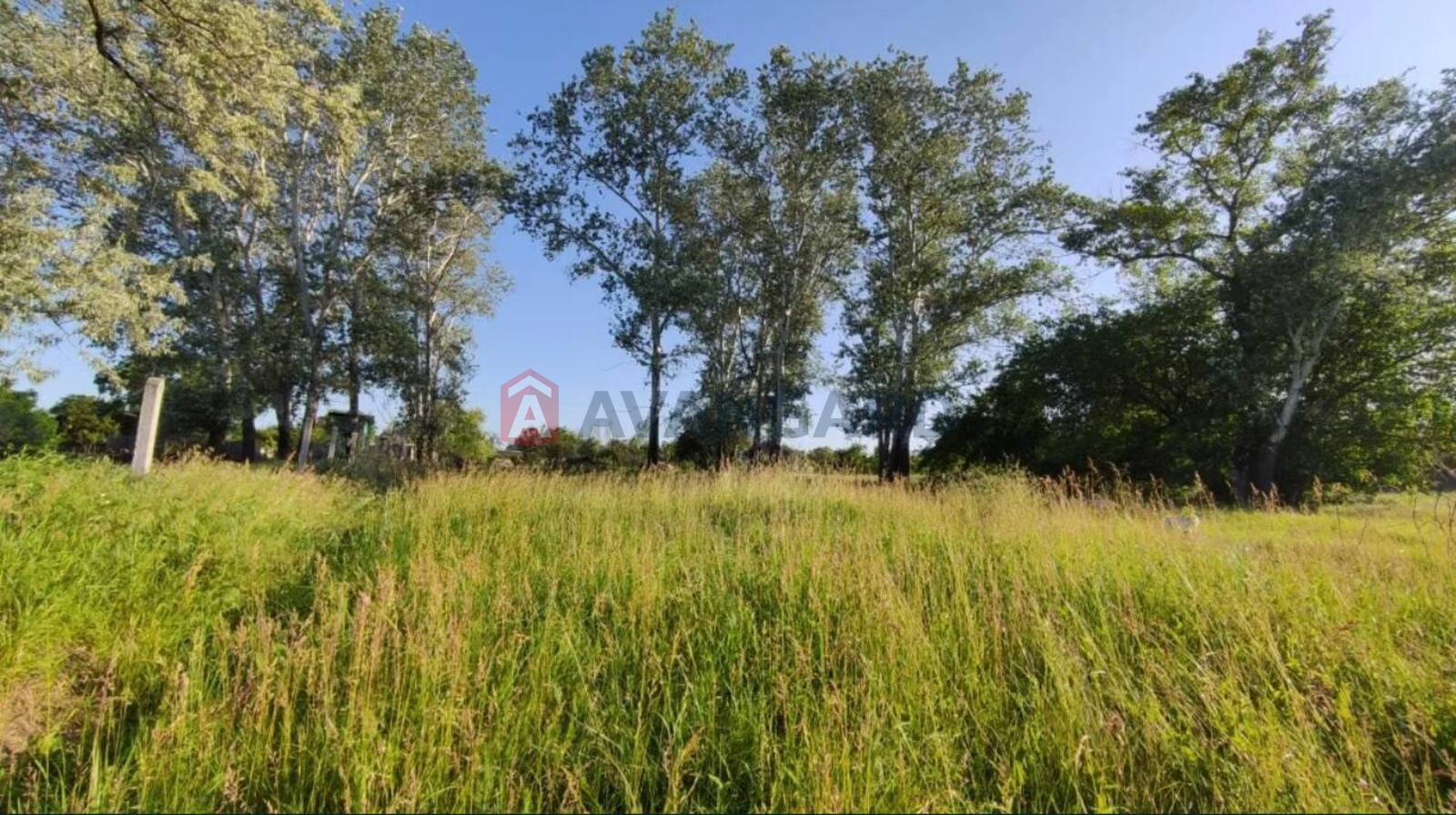 �������� ������ ���� 1