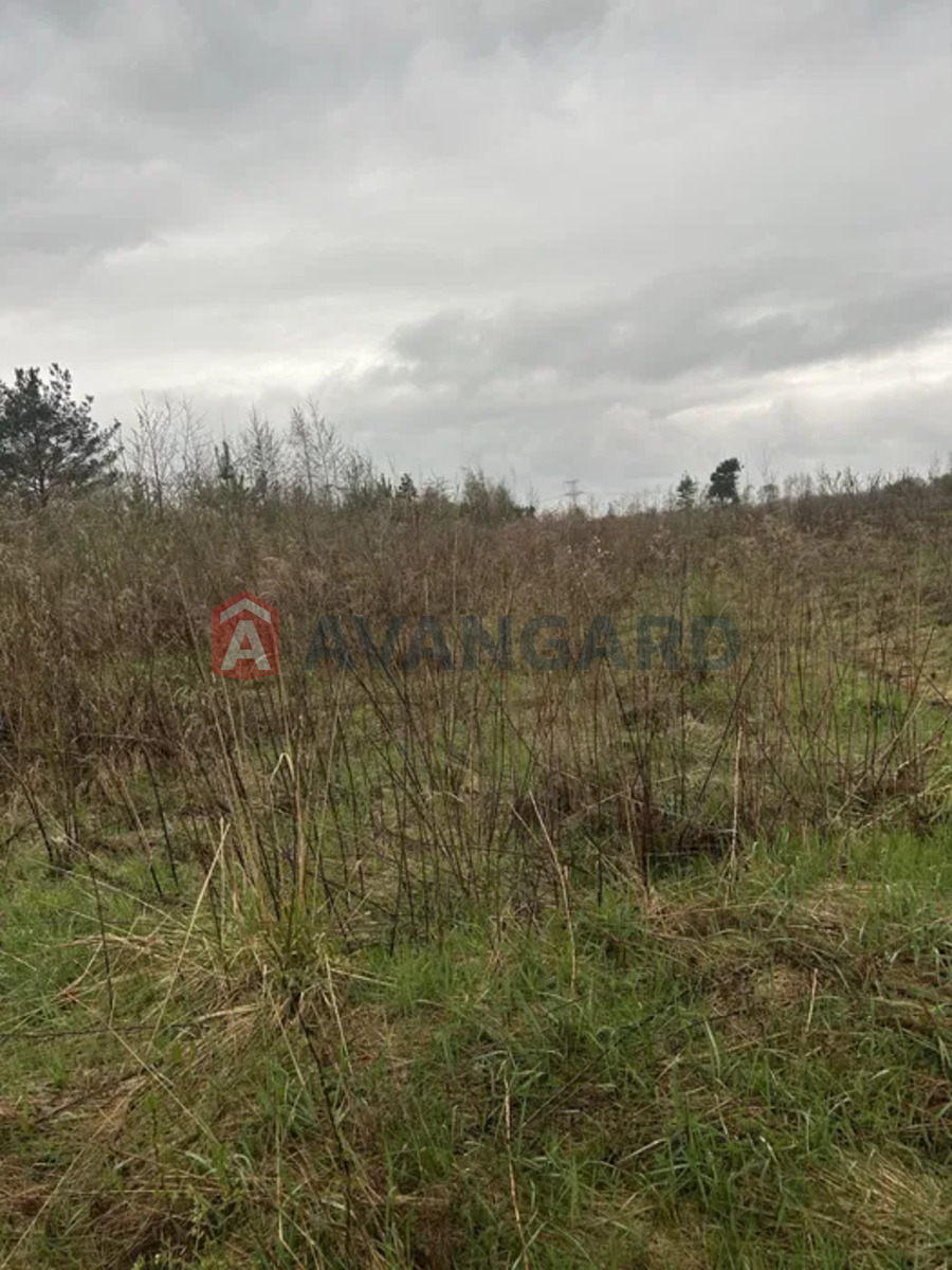 ��������� ������� ���� 6