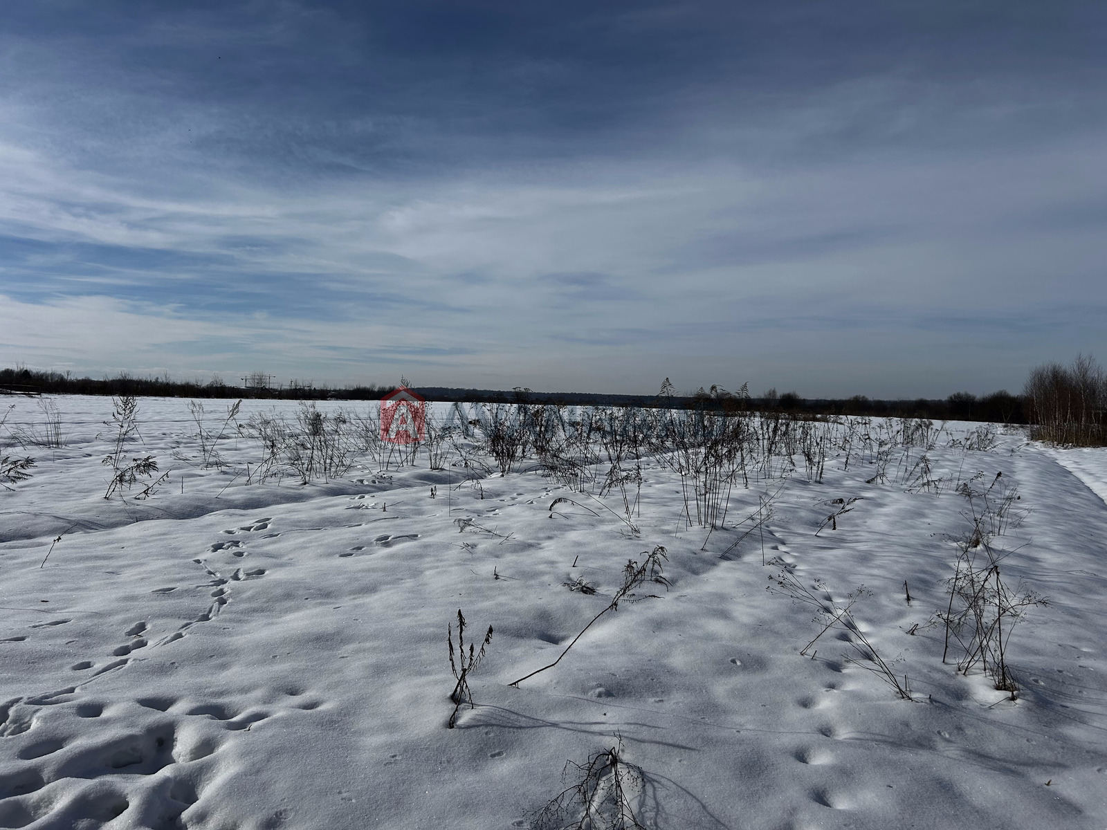 �������� ������ ���� 6