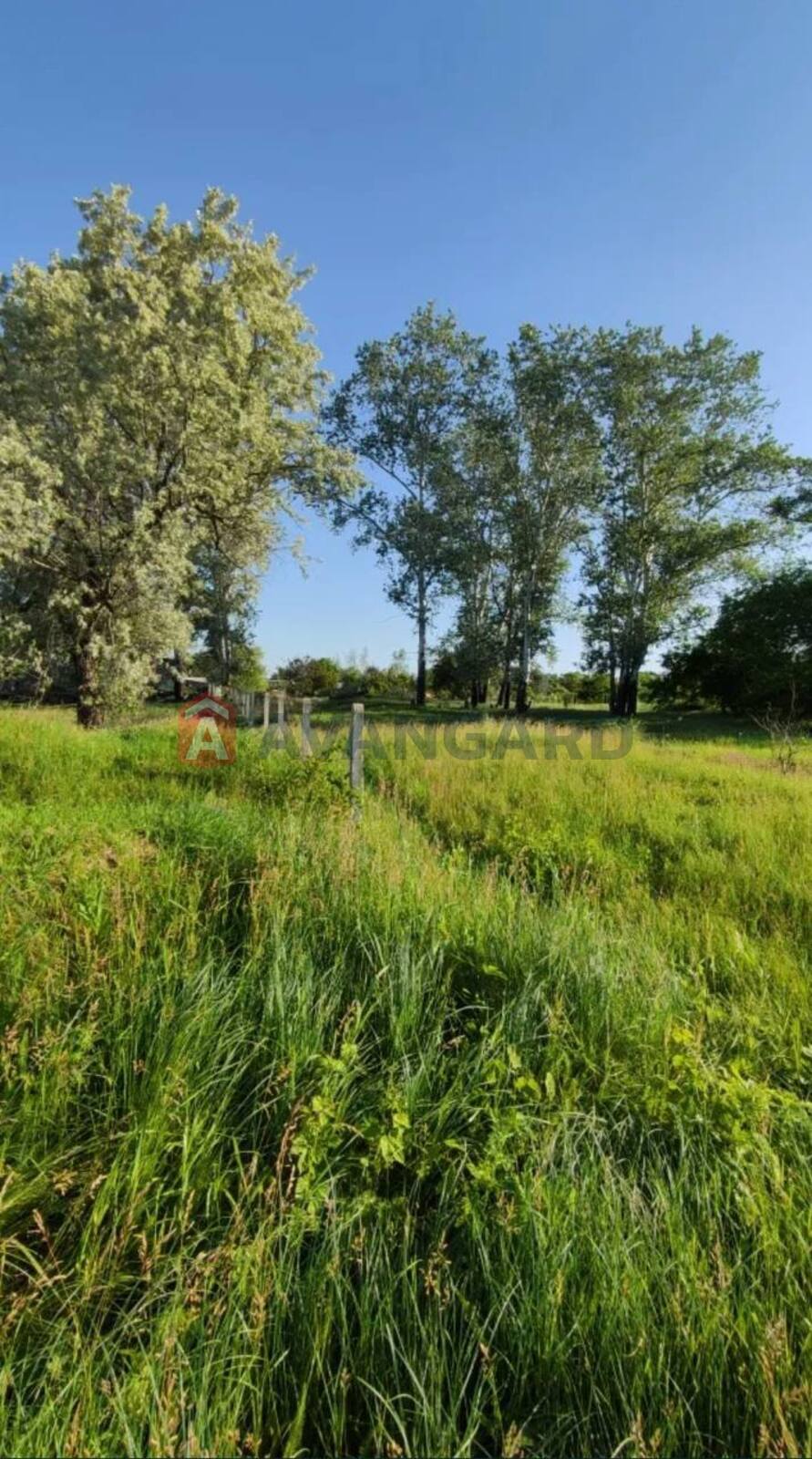 �������� ������ ���� 3