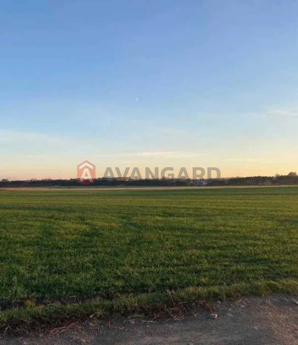 ��������� ������� ���� 5