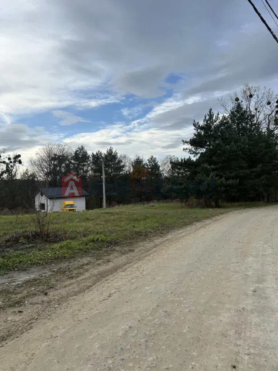 �������� ������ ���� 6