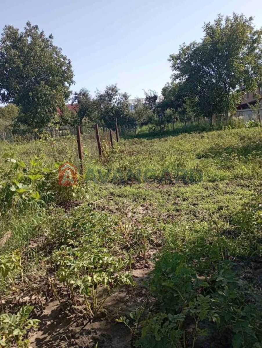 ��������� ������� ���� 7