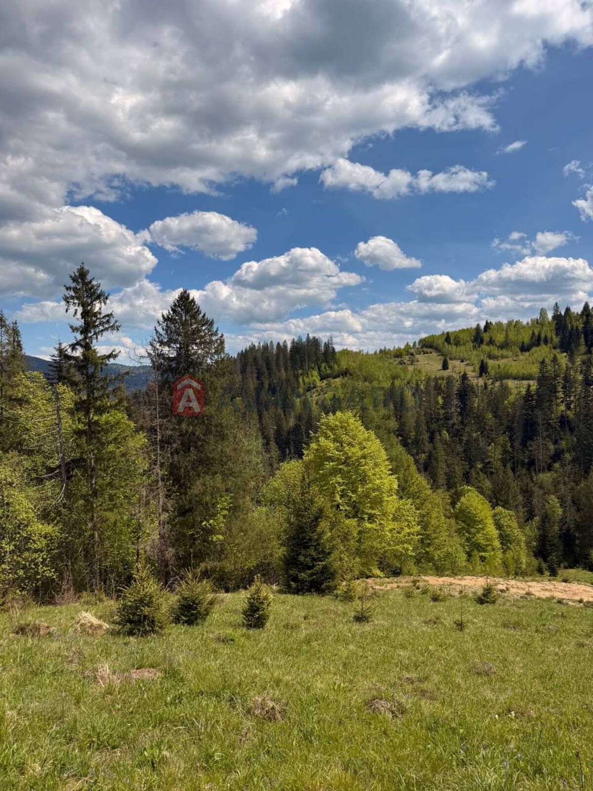 �������� ������ ���� 7